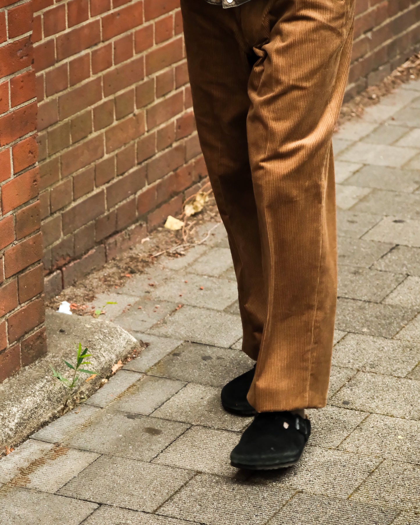 【 TOD ONLINE  】YANKSHIRE M1963 TROUSERS GERMAN CORDS