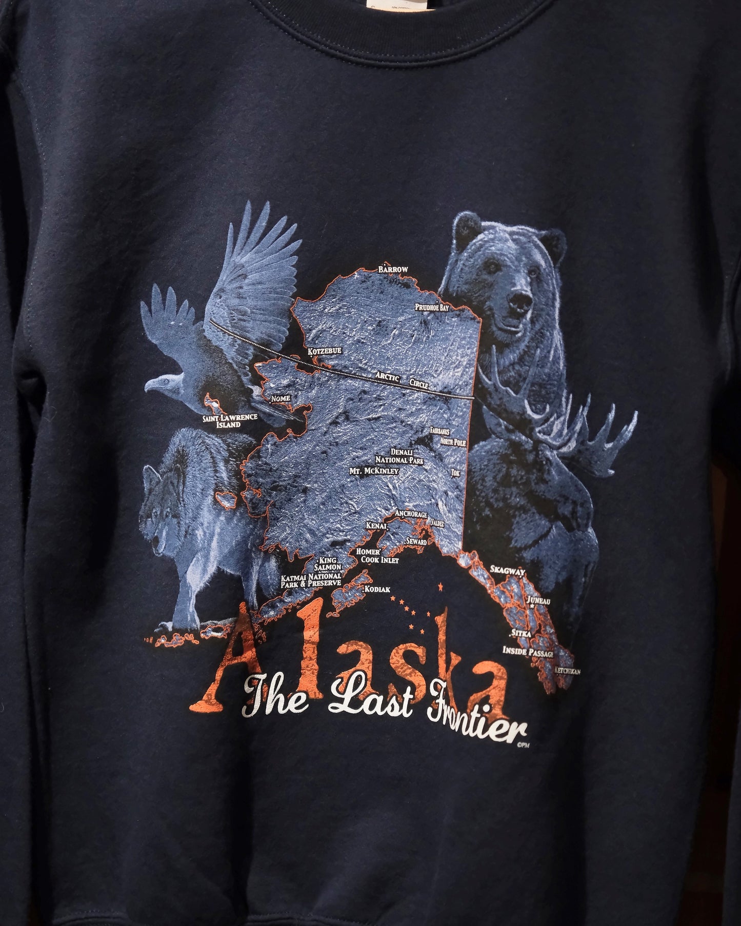 【TOD】【MENS S】GILDAN ALASKA SWEAT, NAVY